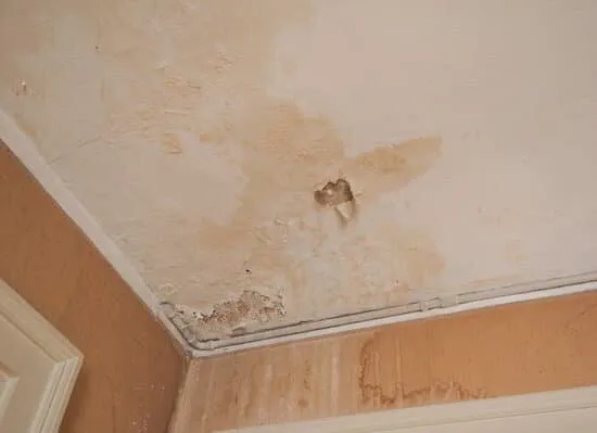 Mold and mildew through cracked drywall — health risk in Michigan homes