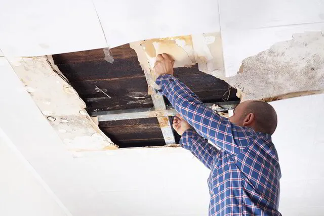 Professional drywall and wall repair service Michigan